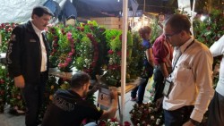 Revisa PROFECO puestos  entorno de la "Lomita"