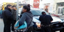 Roban en Chihuahua bebé recién nacido
