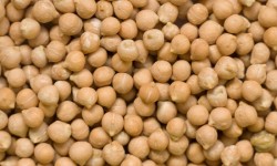 Bajará la producción de garbanzo