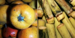 Tejocote y caña, las frutas de la navidad