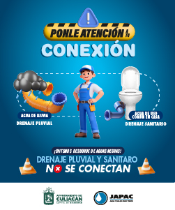 Programa animo TVP