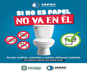 servicio japac